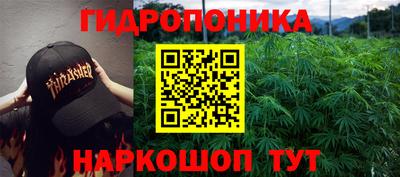 эйфоретик Будённовск