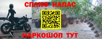эйфоретик Будённовск